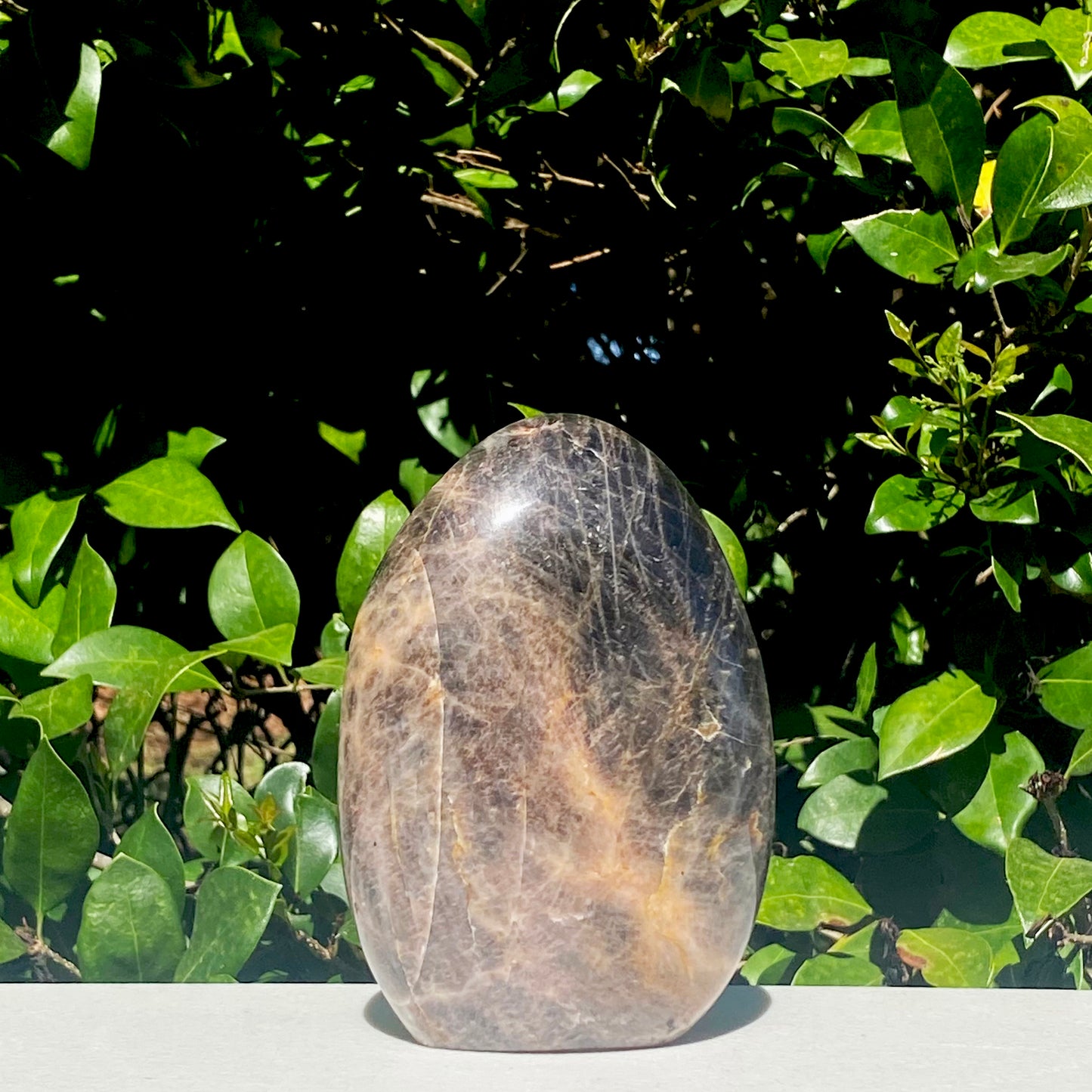 Black Moonstone Freeform - 855.7g