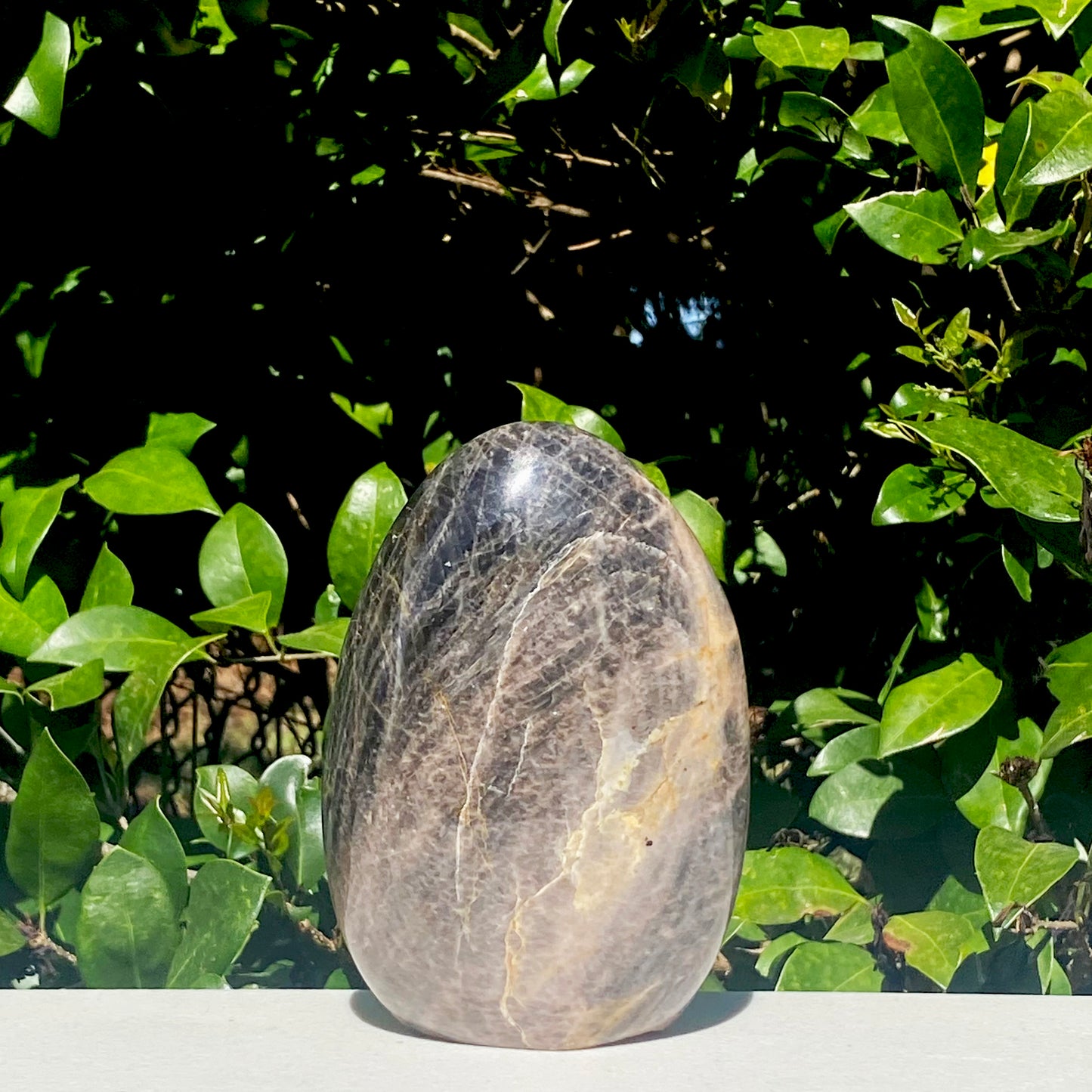 Black Moonstone Freeform - 855.7g