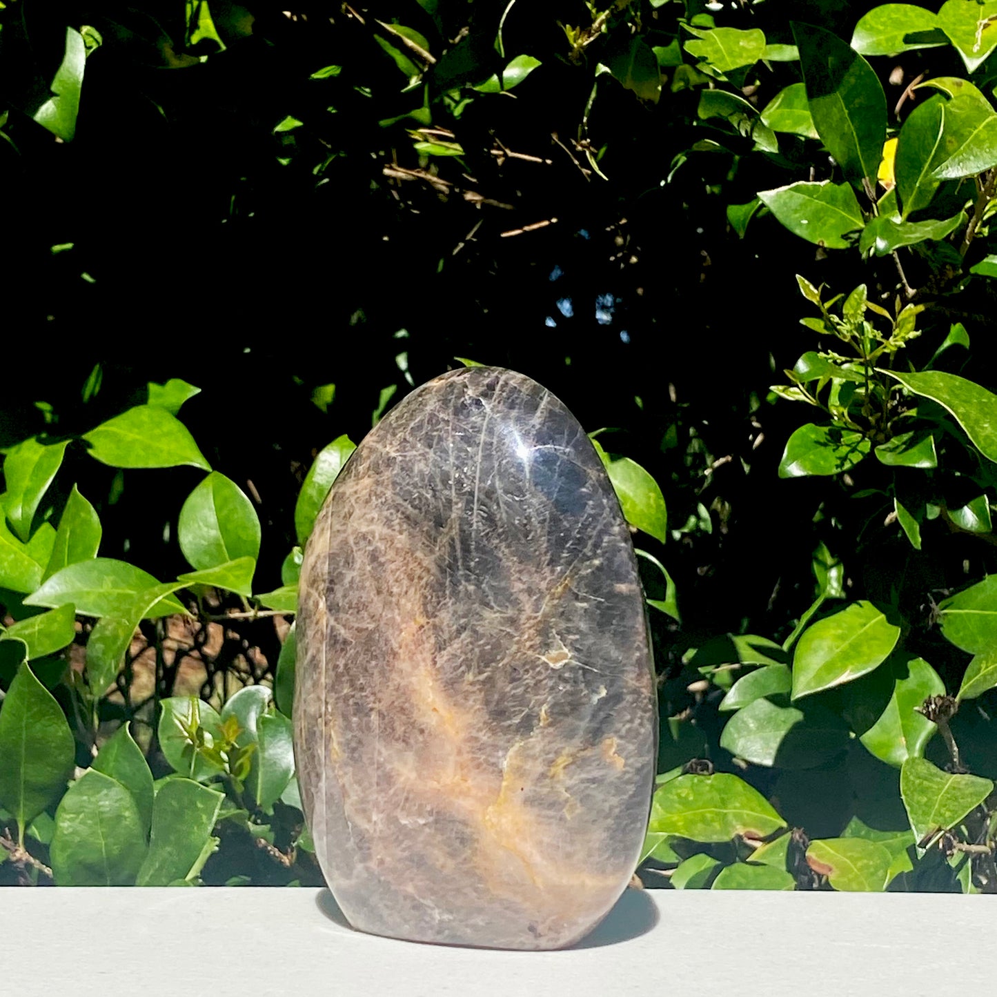 Black Moonstone Freeform - 855.7g