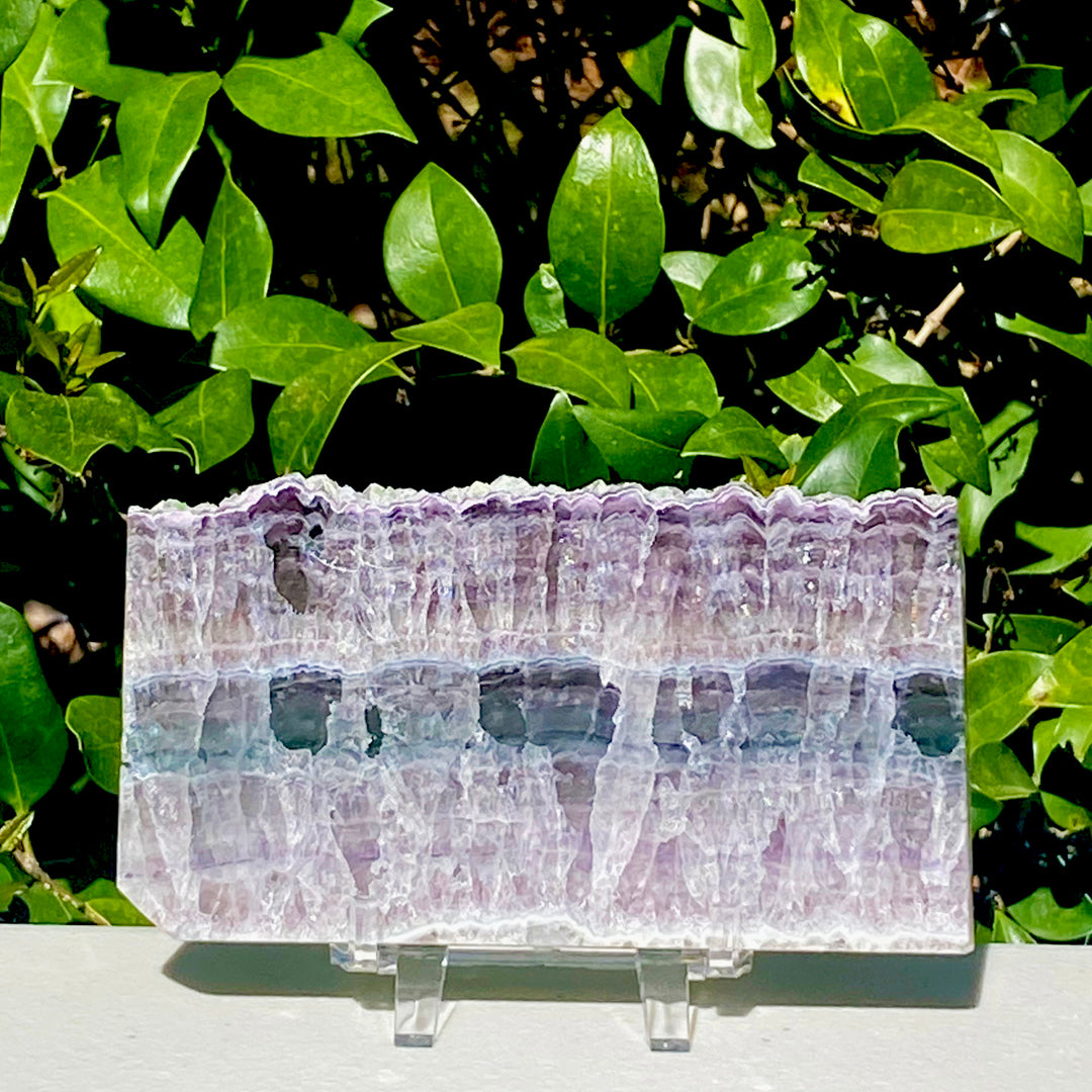 Fluorite Slab - 395g