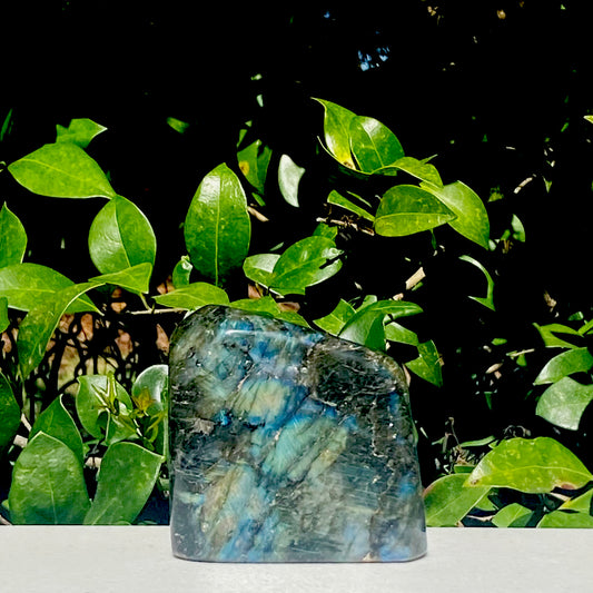 Labradorite Freeform - 437.1g