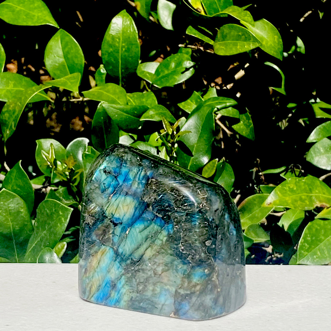 Labradorite Freeform - 437.1g