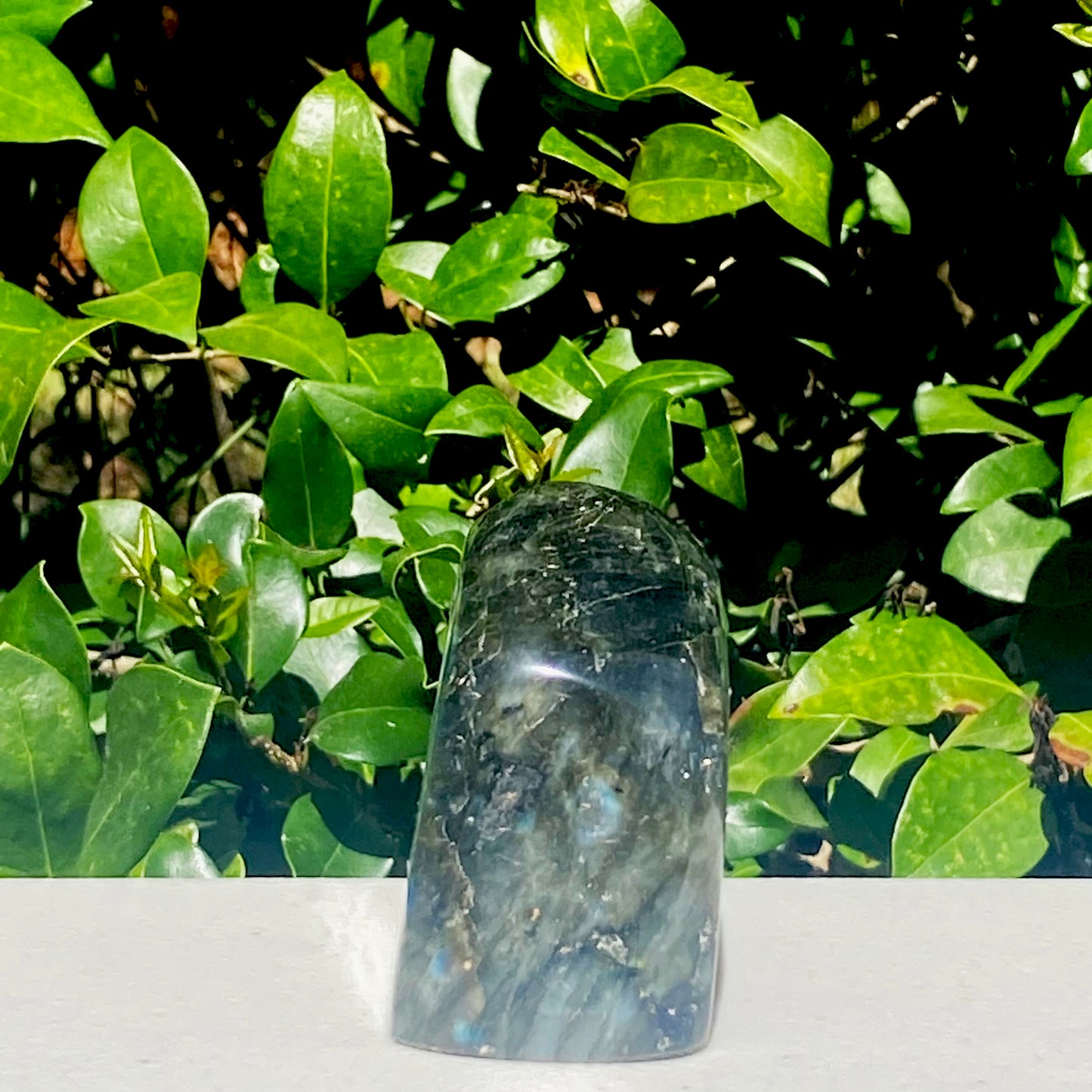 Labradorite Freeform - 437.1g