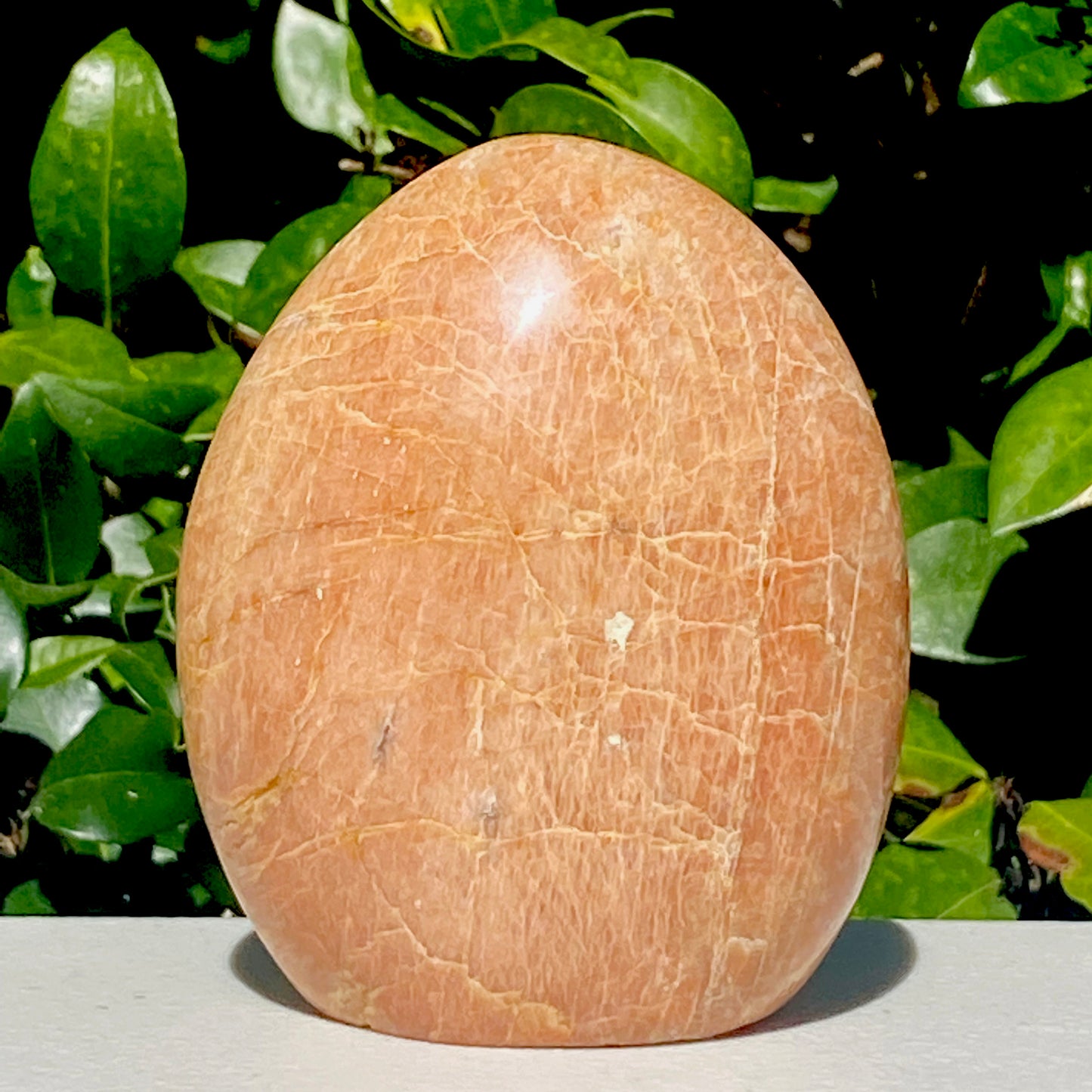 Peach Moonstone Freeform - 719.2g