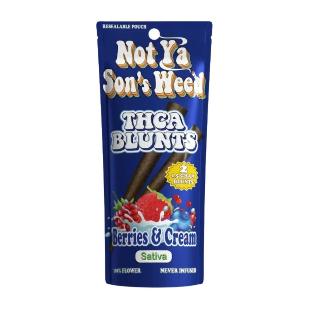 Not Ya Son's Weed THC-A Blunt | 2pk – Infinity's End