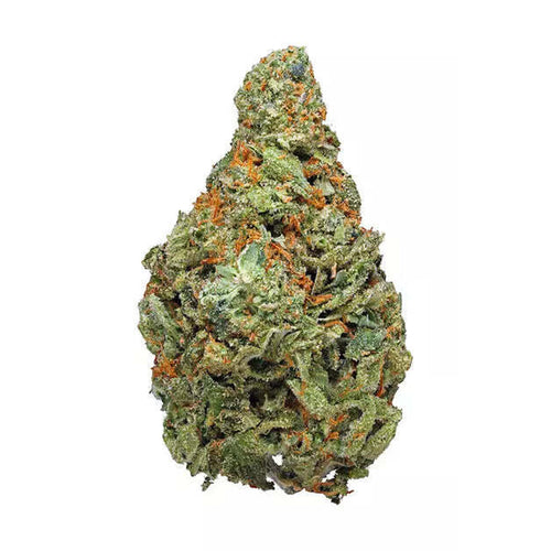 Carolina High Life THC-A Flower | 3.5g - OG Cheese