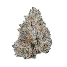Load image into Gallery viewer, Carolina High Life THC-A Flower | 3.5g - White Truffle
