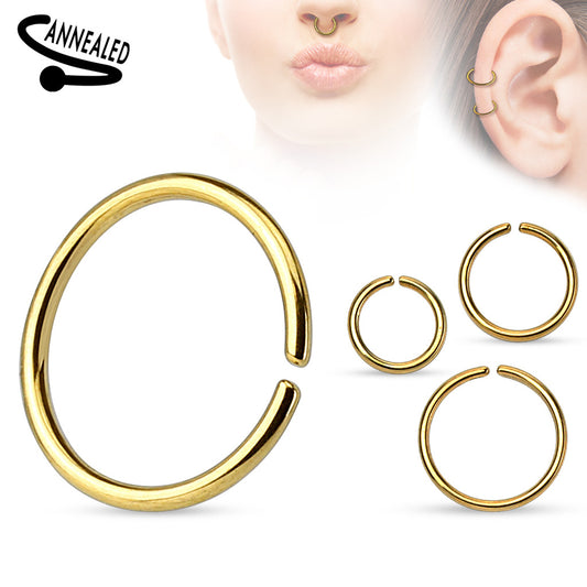 Gold Seamless Hoop