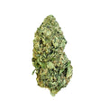 Jack Herer 27.01% THC-A Flower | Hybrid