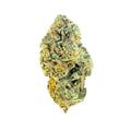 Jealousy Mintz 25.26% THC-A Flower | Hybrid