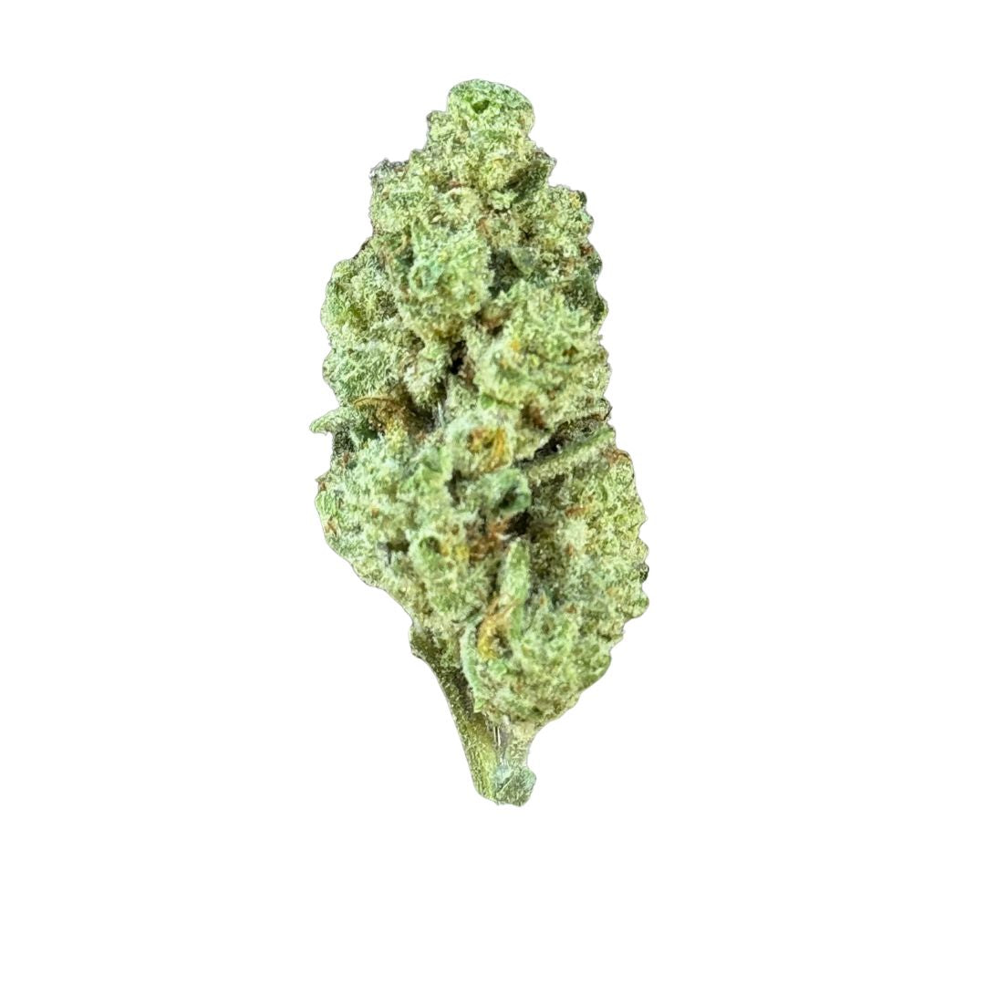 Sherb Scotti 22.18% THC-A Flower | Hybrid