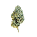 Banana Punch 26.54% THC-A Flower | Hybrid