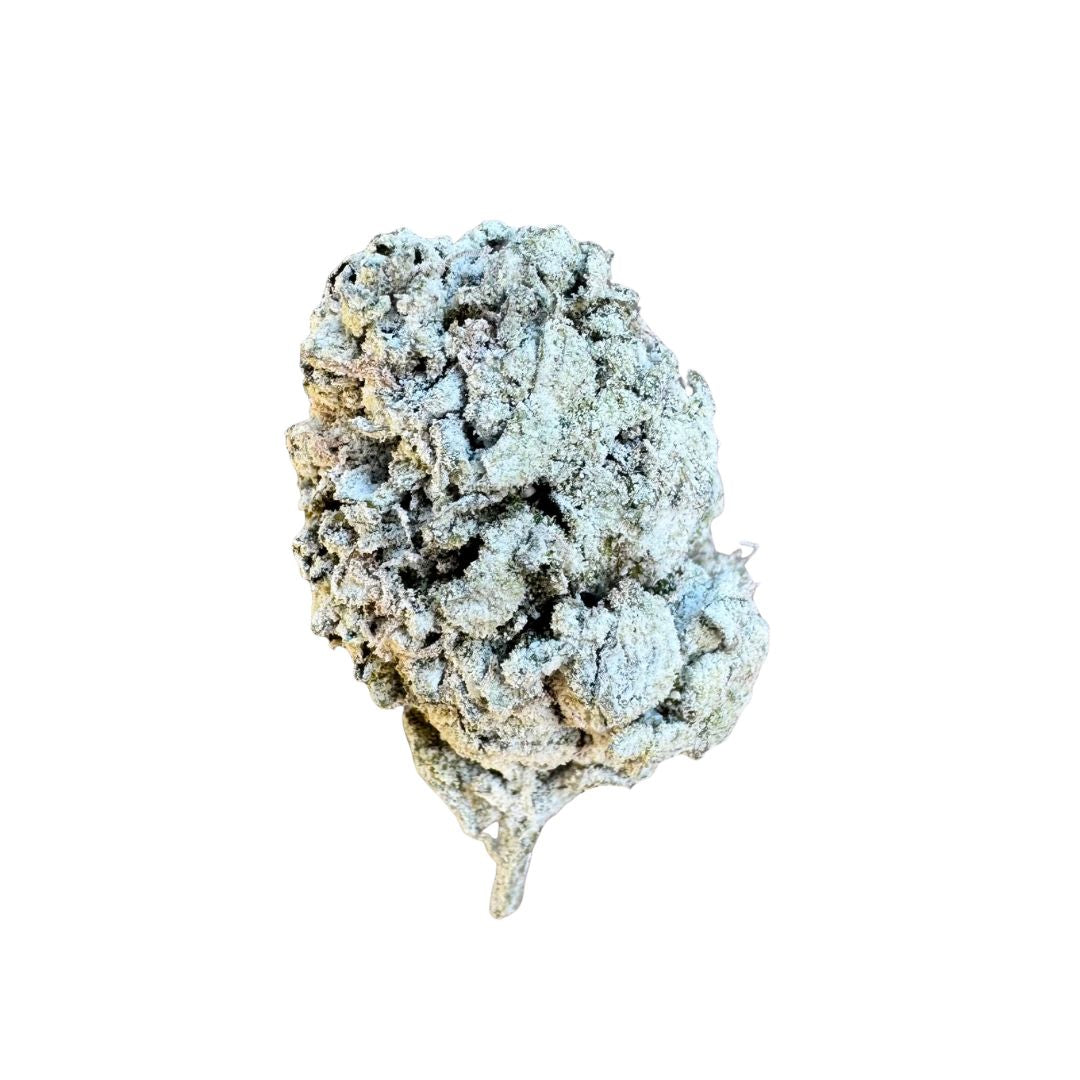 Bubblegum Horchata 61.63% THC-A Flower | Hybrid