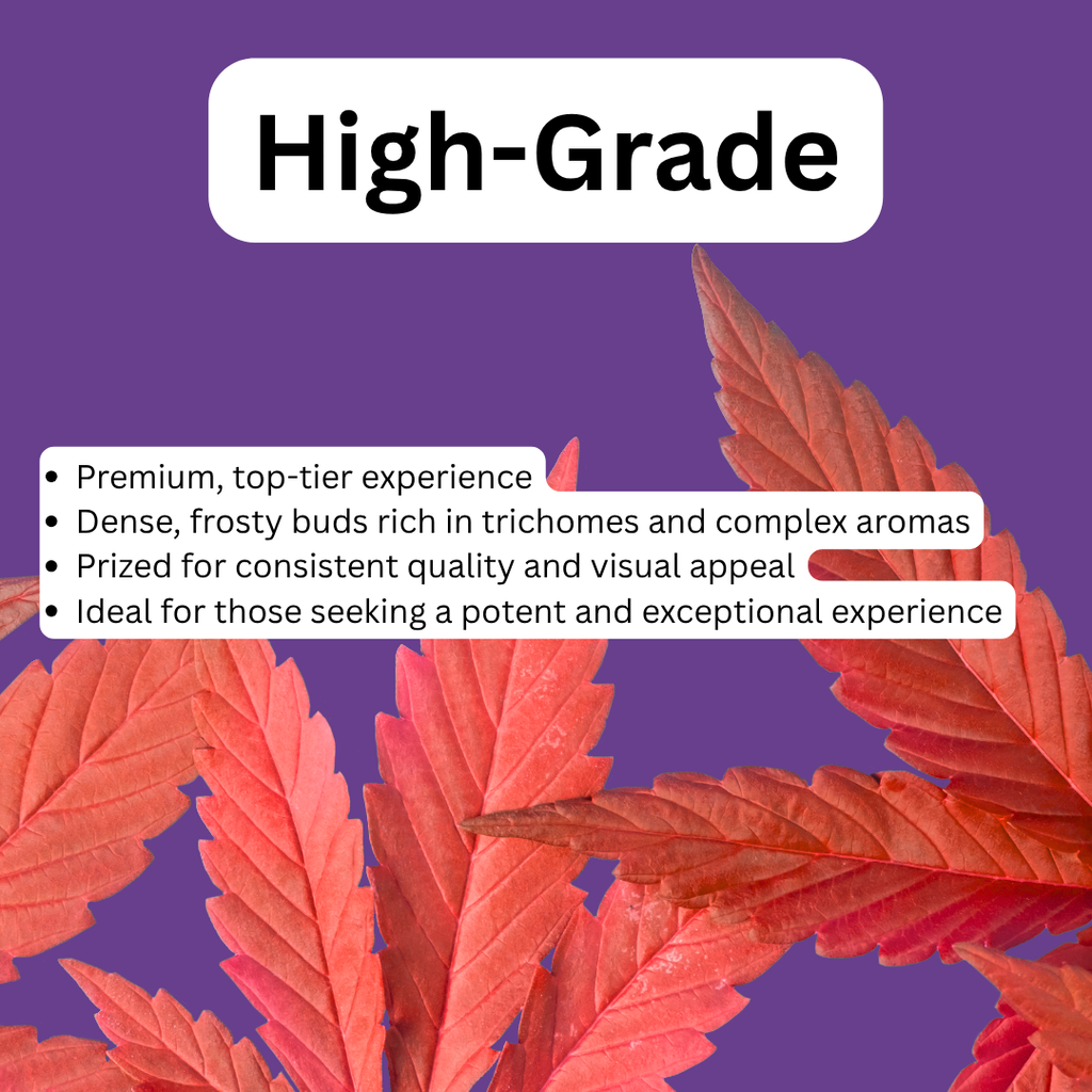 Gelonade 27.80% THC-A Flower | Hybrid