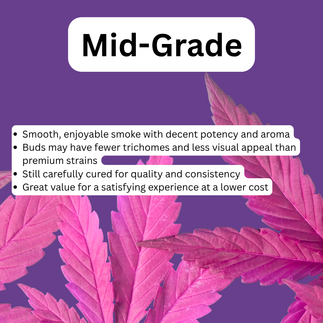 S'mores 24.96% THC-A Flower | Hybrid
