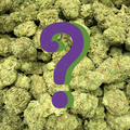 Infinity's End THC-A Mystery Bag | 7g