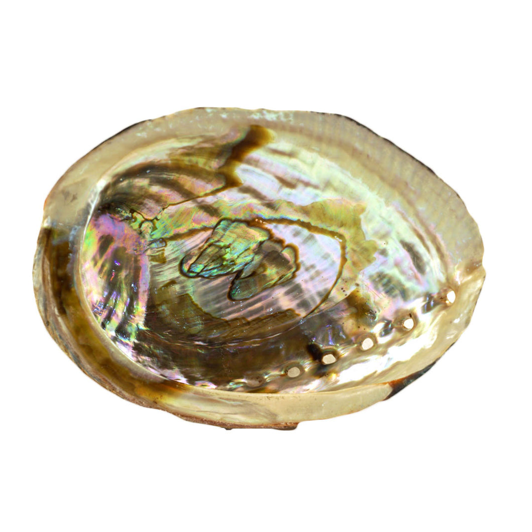 Abalone Shell Smudge Burner