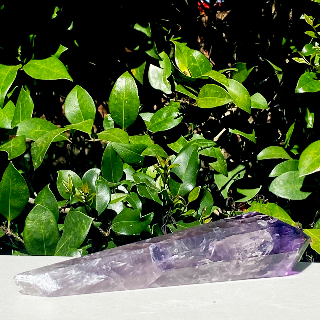 Ametrine Quartz Wand - 352.2g