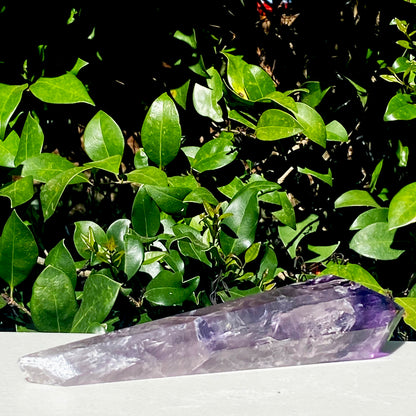 Ametrine Quartz Wand - 352.2g