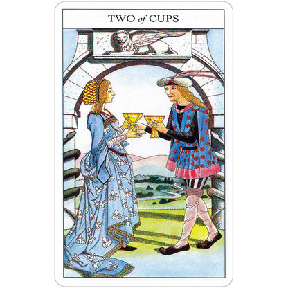 Beginner's Guide To Tarot Deck & Book