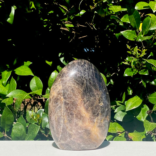 Black Moonstone Freeform - 855.7g