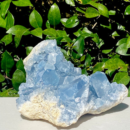 Celestite Geode - 2267.96g