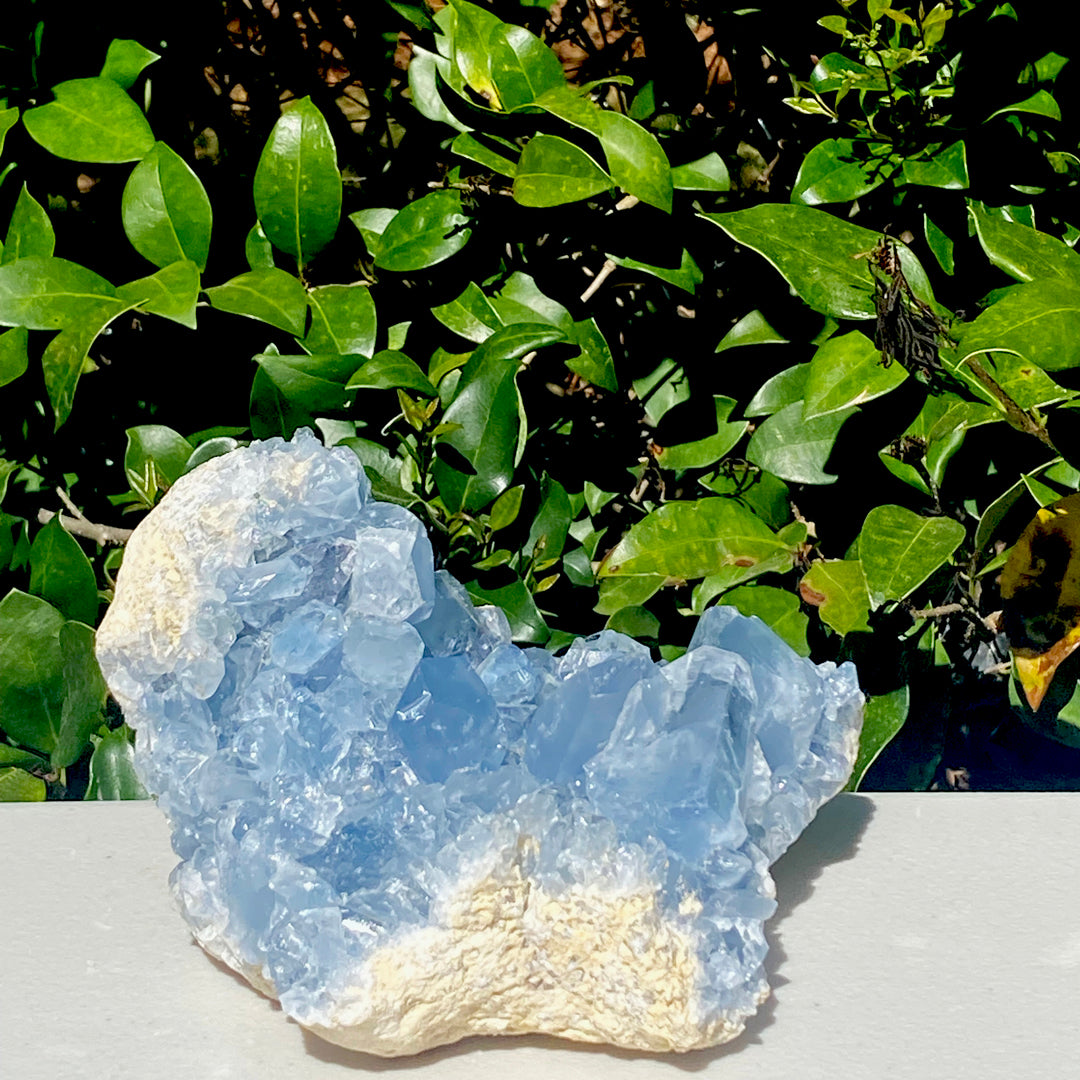 Celestite Geode - 2267.96g