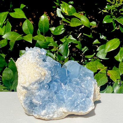 Celestite Geode - 2267.96g