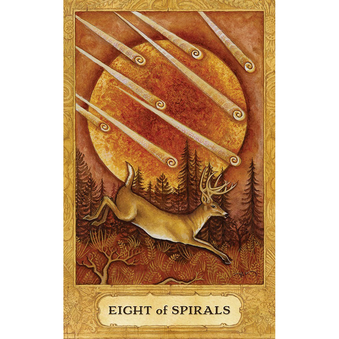 Chrysalis Tarot Deck & Book