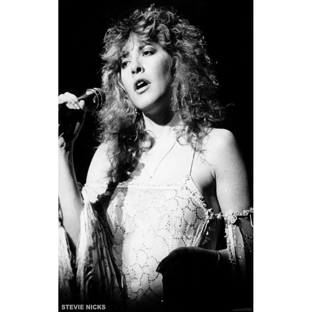 Fleetwood Mac Stevie Nicks Poster