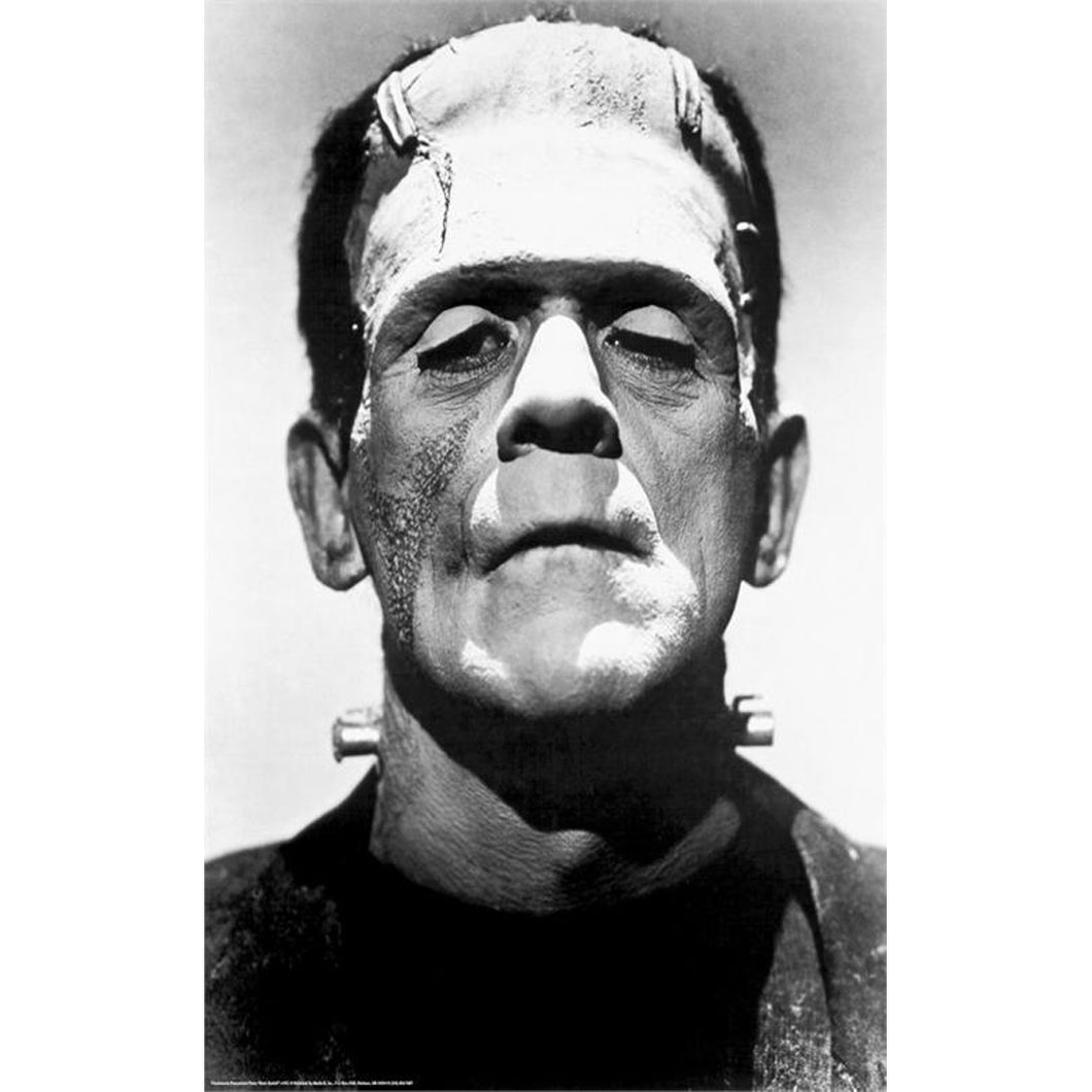 Frankenstein Boris Karloff Poster