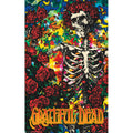 Grateful Dead Skeleton & Roses Poster