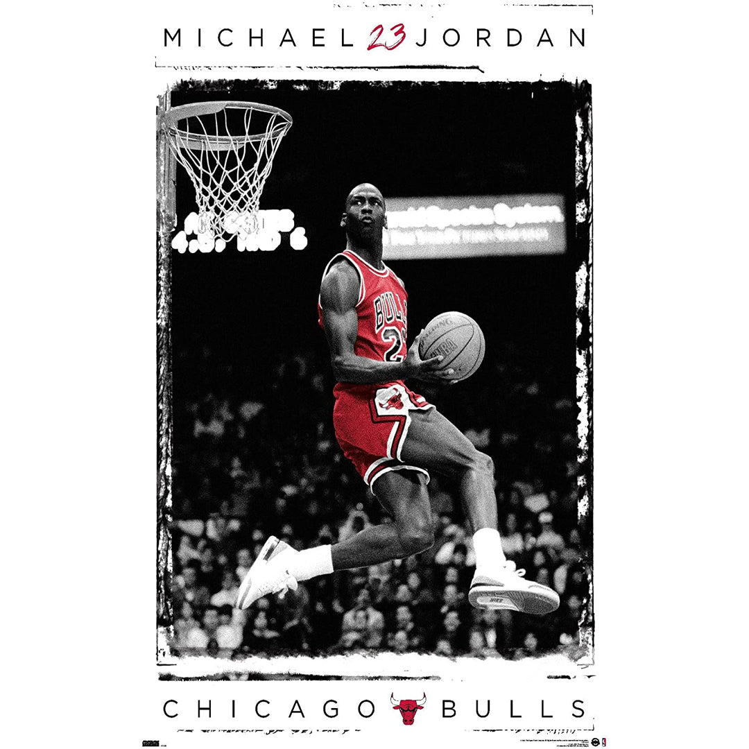 michael jordan mid air