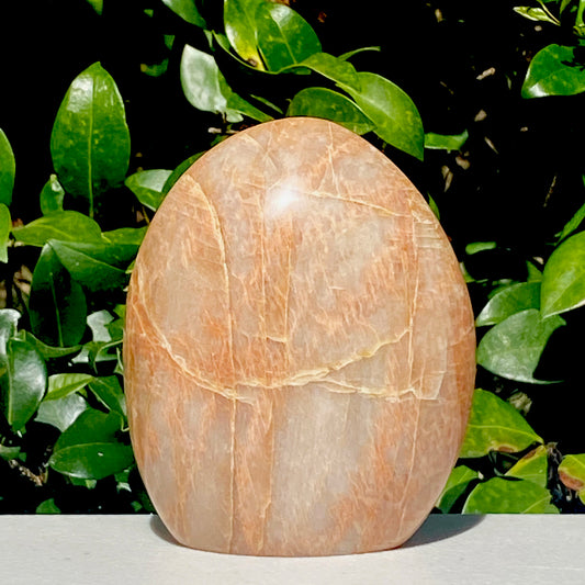 Peach Moonstone Freeform - 719.2g