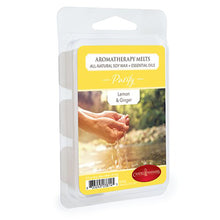 Load image into Gallery viewer, Purify Aromatherapy Wax Melt 2.5oz
