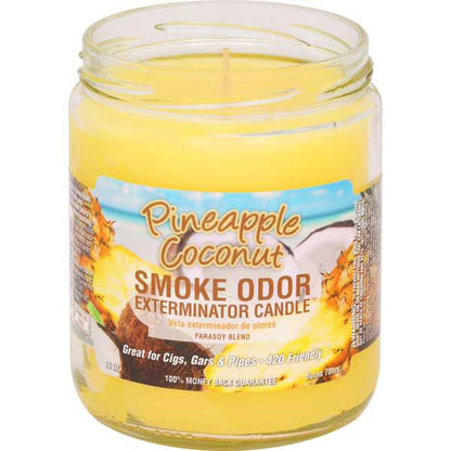 Smoke Odor Pineapple Coconut Candle